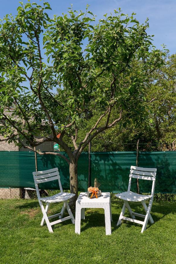 Appartement House Anna à Poreč Extérieur photo